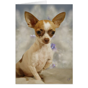 Funny Chihuahua Puppy (Cream/Brown) Första steget Hälsningskort