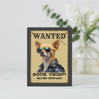 Funny Chihuahua WANTED Poster with Cool Sunglasses Vykort