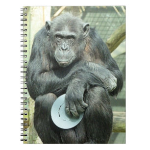 FUNNY CHIMPANZEE ANTECKNINGSBOK