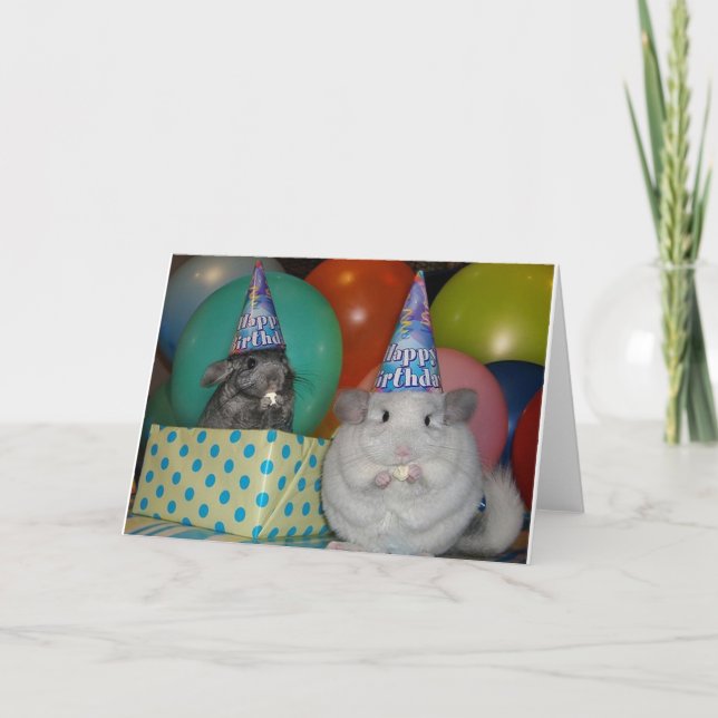 Funny Chinchilla Birthday-kort Kort (Framsida)