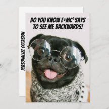 Funny Chinese Pug Cute Puppy Dog Animal Theory 