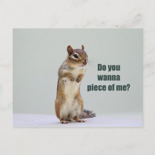 Funny Chipmunk Bild Vykort