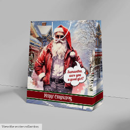 Funny Christmas Gift Bag Santa Medium Holiday Art