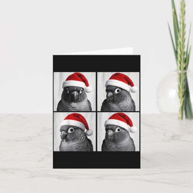 Funny Christmas Green Cheek Conure Santa Photo Boo Kort (Framsida)