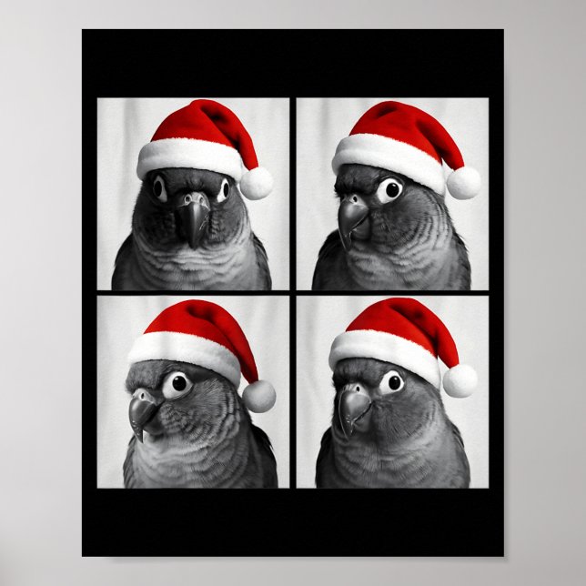 Funny Christmas Green Cheek Conure Santa Photo Boo Poster (Framsidan)