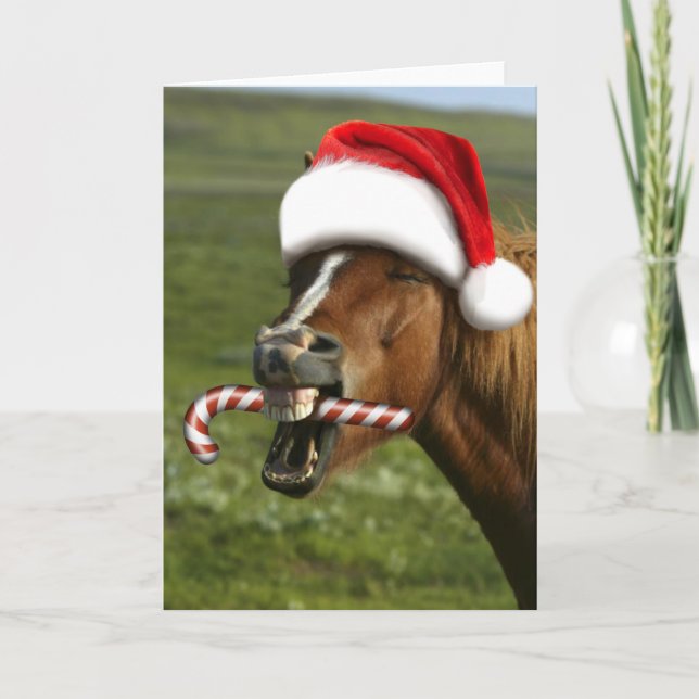 Funny Christmas horse with Santa hat smiling Kort (Framsida)