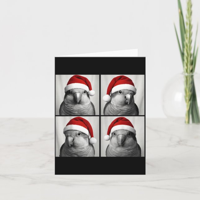 Funny Christmas Quaker Parrot Santa Photo Booth  Kort (Framsida)