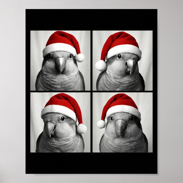 Funny Christmas Quaker Parrot Santa Photo Booth  Poster (Framsidan)