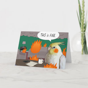 Funny Cockatiel Jag är Bra Meme Blank Pet Bird Kort