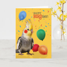 Funny Cockatiel Parrot Birthday Humor Kort