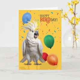 Funny Cockatoo Parrot Birthday Humor Kort