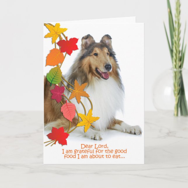 Funny Collie Thanksgiving Card Helgkort (Framsida)