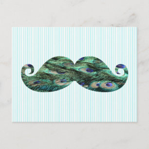 Funny Colorful Peacock Feathers Mustache Vykort
