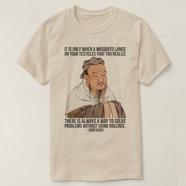 Funny Confucius Quote - Mosquito on Testicles T-shirt (Design framsida)