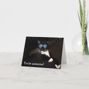 Funny Coola Cat Tack Kort
