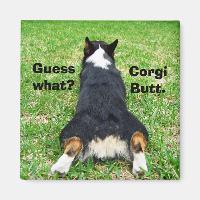 Funny Corgi Butt Magnet (Framsidan)