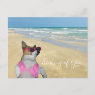 Funny Corgi i Bikini Beach Vykort