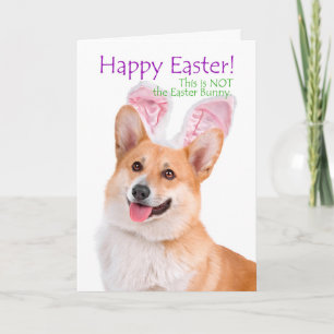 Funny Corgi Påsk Card Helgkort