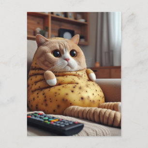 Funny Couch Potato Cat Vykort