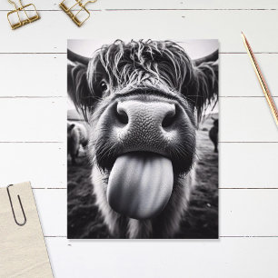 Funny Cow Black and White Vykort