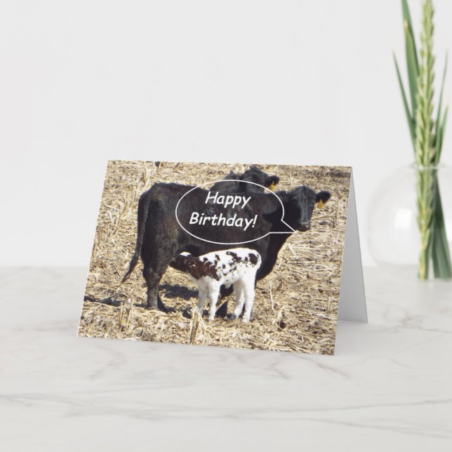 Funny Cow Grattis på födelsedagen-kort Kort (Framsida)