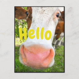 Funny Cow Hej Vykort