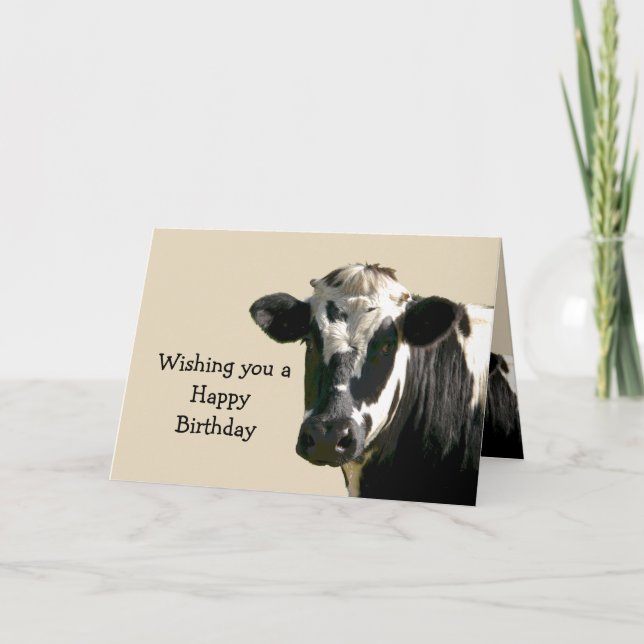 Funny Cow Humor Birthday Laughs Kort (Framsida)