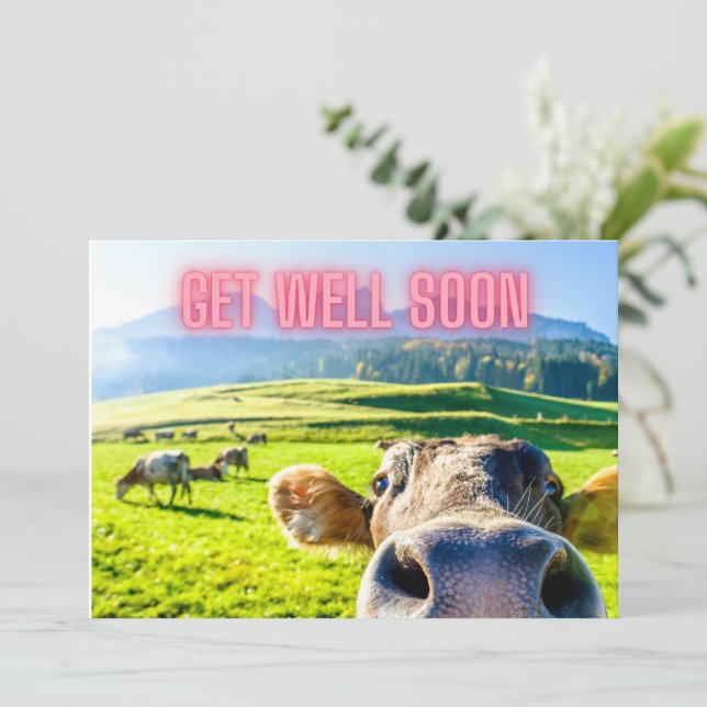 Funny Cow kommer snart Kort (Stående Fram)