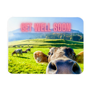 Funny Cow kommer snart Magnet