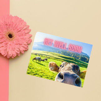 Funny Cow kommer snart Vykort