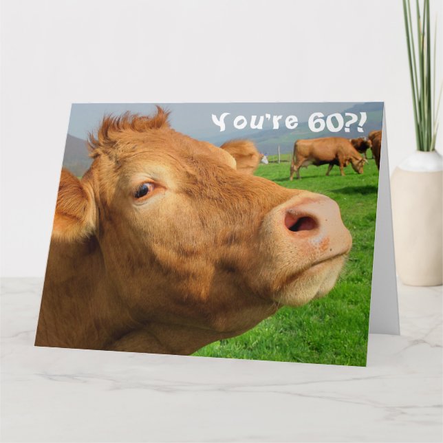 Funny Cow Lycklig 60:e födelsedagskortet Kort (Framsida)