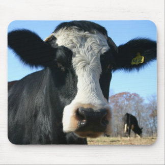 Funny Cow Mousepad Musmatta
