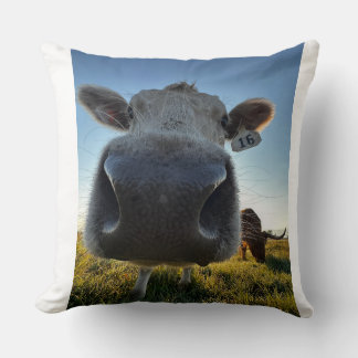 Funny Cow Pillow Kudde