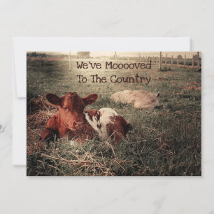 Funny Cow Rustic Land Farm Flytta Meddelande