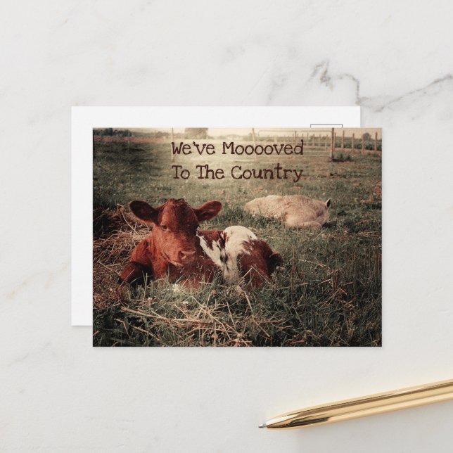 Funny Cow Rustic Land Farm Flytta Meddelande Vykort (Fram/Back In Situ)