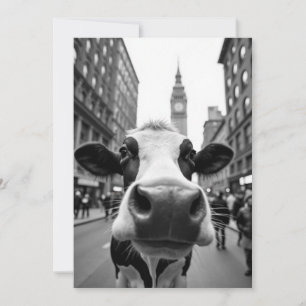 Funny Cow Selfie på en Busy City Street Inbjudningar