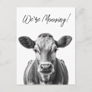 Funny Cow Vi flyttar Flytta-meddelande Meddelande Vykort