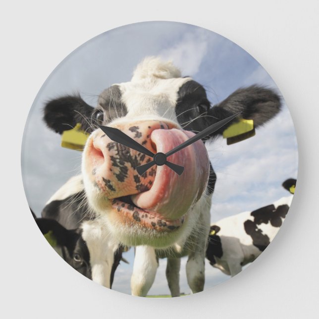 Funny cow wall clock stor klocka (Framsida)
