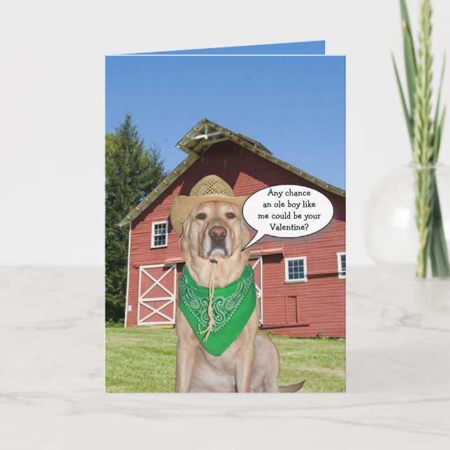 Funny Cowboy Hund/Lab Valentine Helgkort (Framsida)