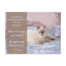 Funny Crazy Cat Humor