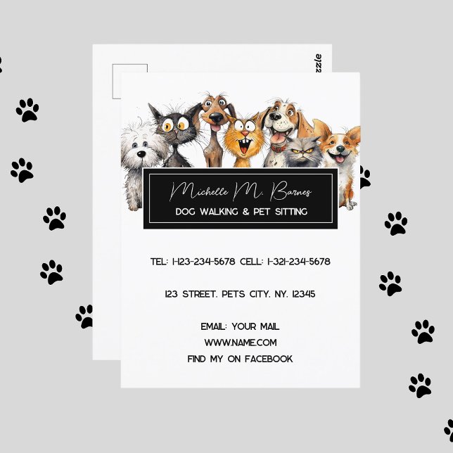 Funny Crazy Cats Hundar Pet Sitter Modern White Vykort (Skapare uppladdad)