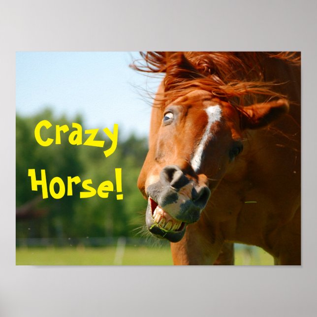 Funny Crazy Horse Animal Poster (Framsidan)