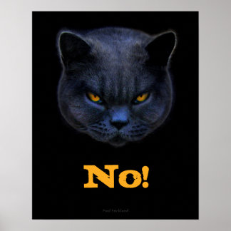 Funny Cross Cat says No Poster