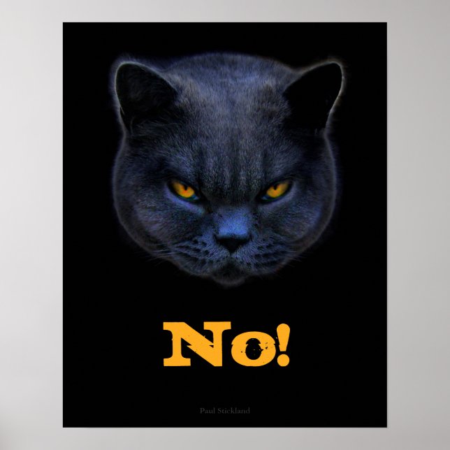 Funny Cross Cat says No Poster (Framsidan)
