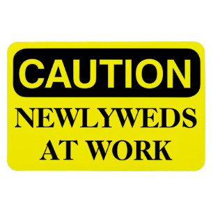 Funny Cruise Cabin Door Magnet - Newlyweds at Work