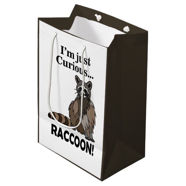 Funny Curious Raccoon (Framsidan Vinklad)