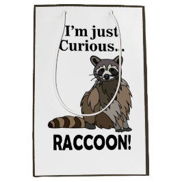 Funny Curious Raccoon