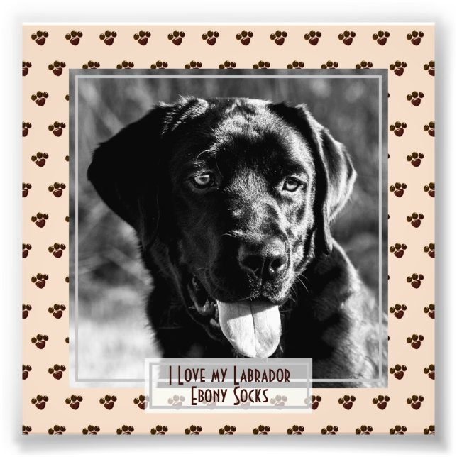 Funny Cute Black Labrador PHOTO Named Memorial Fototryck (Framsidan)