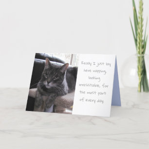 Funny Cute Cat Birthday Kort