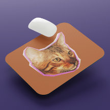 Funny Cute Cat Mixed Media Collage
